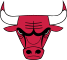 Chicago Bulls Logo